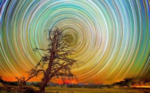 Lincoln Harrison_fotografo australiano